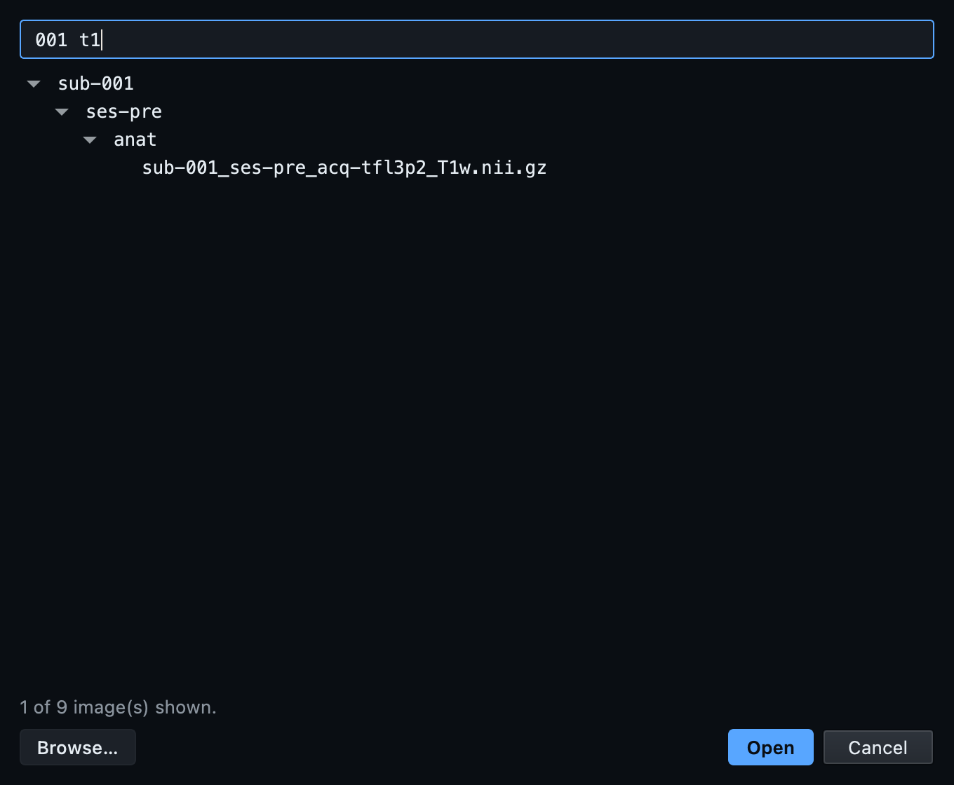 The image picker, filtered to one image by typing 001 t1, with a Browse button for files outside the dataset