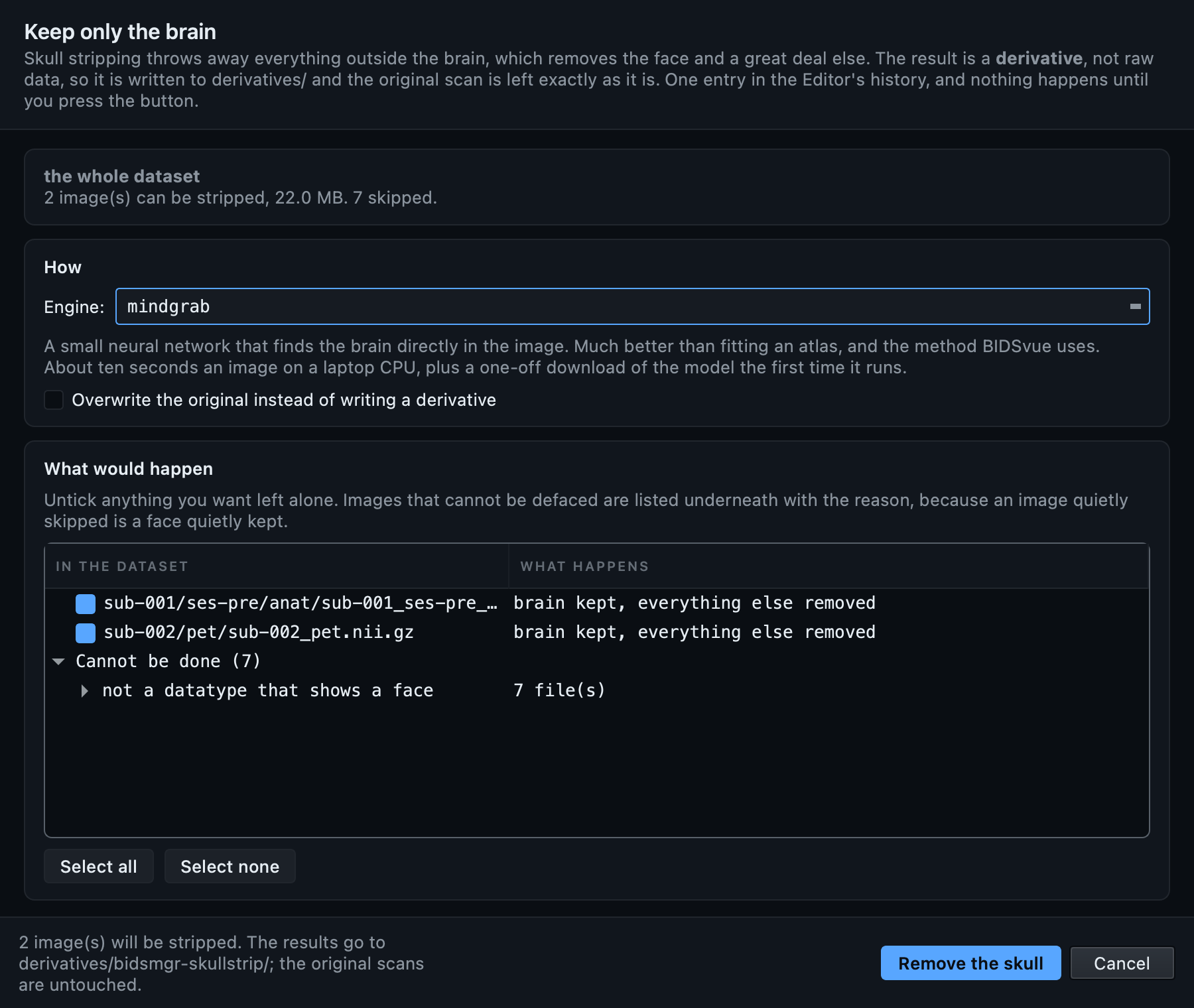 The skull stripping dialog, with the mindgrab engine selected and a status line saying the results go to derivatives