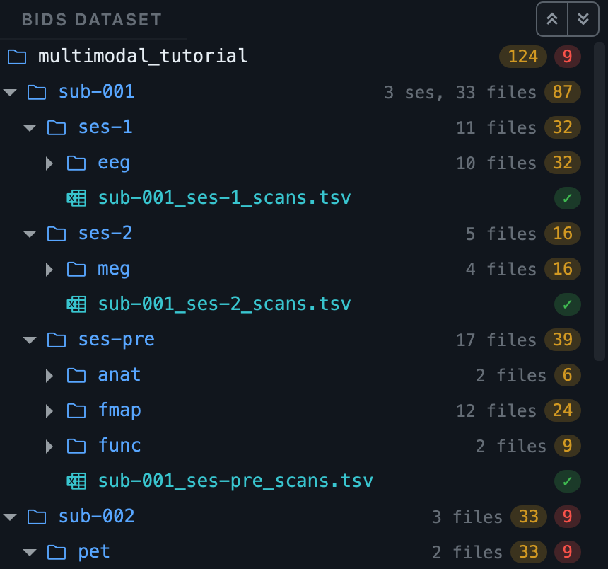The BIDS tree with a count of errors and warnings on every row