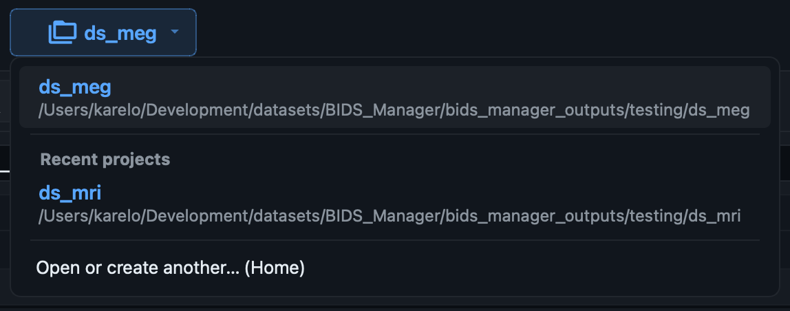 Project switcher dropdown in the header