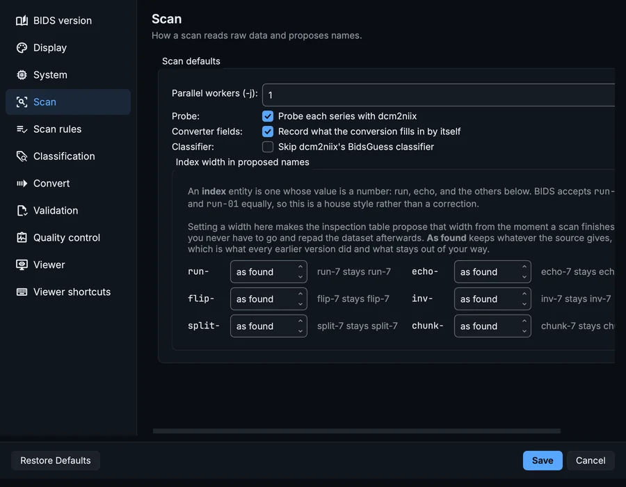 Settings, Scan page: parallel workers, probe conversion, converter fields, the classifier switch and the index widths.