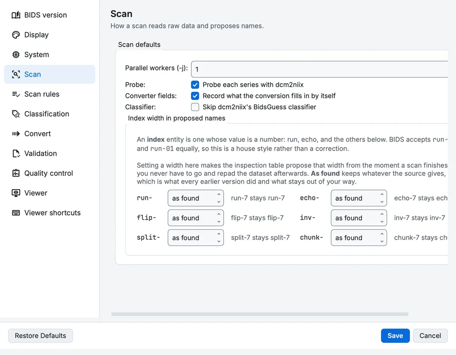 Settings, Scan page: parallel workers, probe conversion, converter fields, the classifier switch and the index widths.