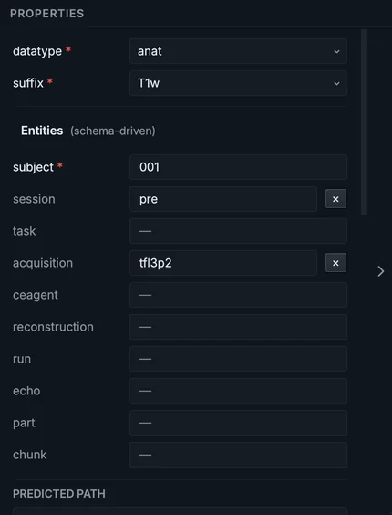 The Properties panel of the T1w row: datatype and suffix, the entities the standard allows for it, and the entity values that build its name.