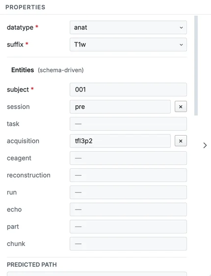 The Properties panel of the T1w row: datatype and suffix, the entities the standard allows for it, and the entity values that build its name.