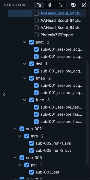 The Structure view beside the table after the scan: one branch per proposed subject and session, then datatypes and the BIDS names.