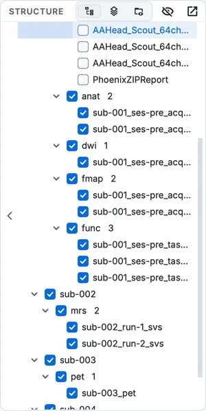 The Structure view beside the table after the scan: one branch per proposed subject and session, then datatypes and the BIDS names.