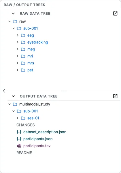 The output data tree after the conversion: the dataset's files under sub-001/ses-01, one folder per datatype.