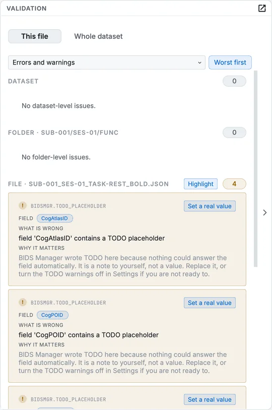 The Validation panel for the BOLD sidecar: the dataset's, the folder's and the file's findings, and the schema audit.