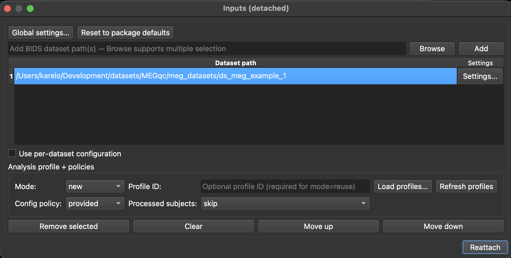 Inputs section with one dataset added